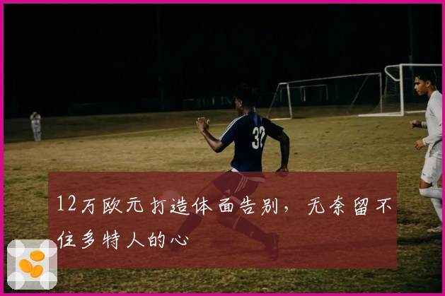 12万欧元打造体面告别，无奈留不住多特人的心